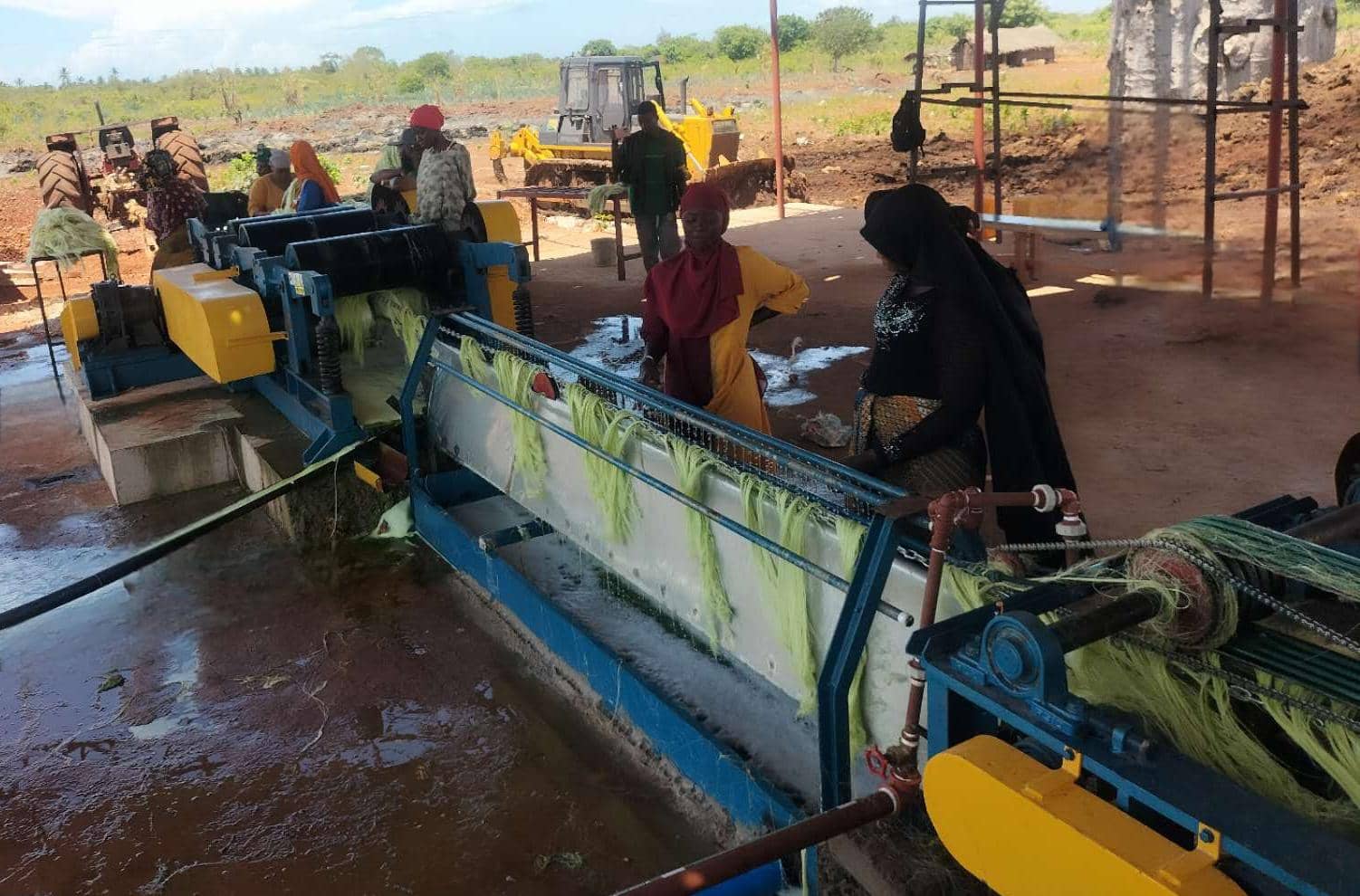 Fiber extraction site 3